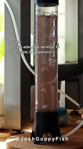 Brine Shrimp Hatching Instructions