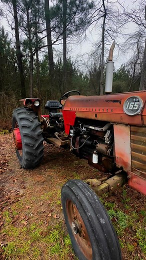 Time to break dirt and till in last years collards. Great for the dirt and will help fertilize our next planting. Tractor and planting days are here! 🌱 | Little Acre Farm LLC