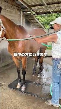 馬の洗い方｜前編：水洗い🚿 #shorts #乗馬 #アクティビティー #horse