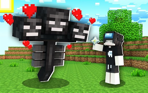 当你可以驯服MC里的所有生物！