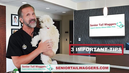 MeritKing - MeritKing Güncel Site, MeritKing Resmi Giriş 2025