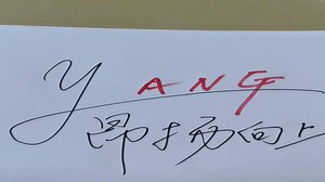 Ubuntu系统本地网卡插上网线无法连网的问题