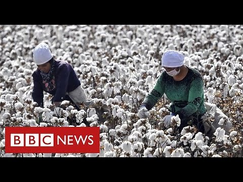 Nike and H&M face China backlash after warning of Uighur forced labour in cotton industry - BBC News