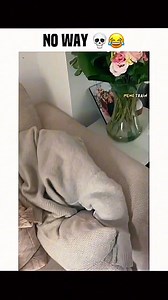 Funny and cute dog compilation 🤣... | Cuteyfunny