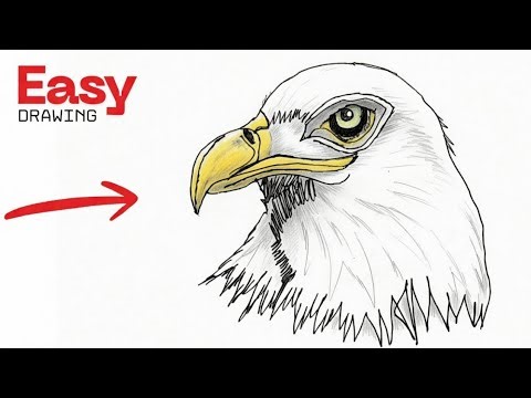 How to Draw Eagle Face - Easy Eagle Drawing Step by Step - Eagle Drawing Tutorial - Bird Drawing