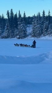 #7 Deke Naaktgeboren is the first out of Meiers checkpoint. He left with 12 dogs although his handler stated it’s “12 unless you count the dog in Deke then it’s 13.” Deke took his mandatory 6 at Meiers. | Copper Basin 300 Sled Dog Race