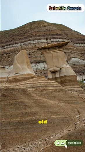 Oldest Fossils on Earth Aren't What You Think #History