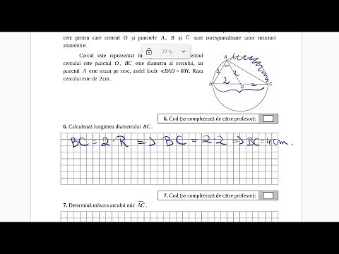 Model Evaluare Nationala - Clasa a 6 a - Subiecte 2019