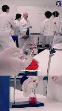 British International School of Zagreb - The Importance of Science