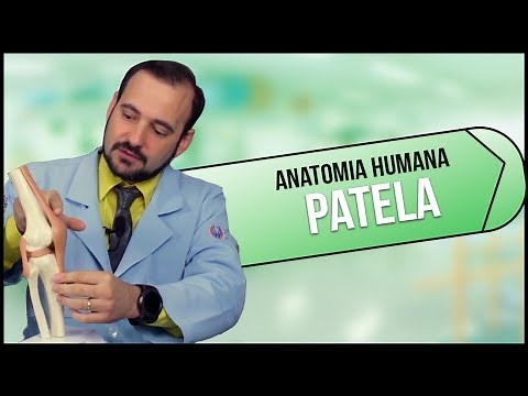 Anatomia Humana PATELA (PRÁTICA)