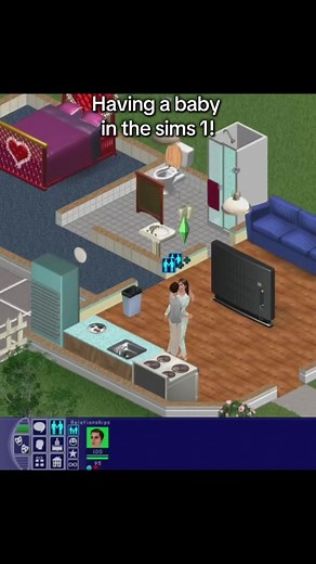 Having a Baby in The Sims 1: A Quick Guide