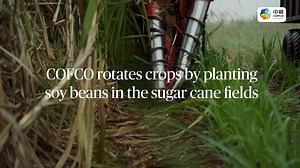 186 reactions · 3 comments | Step into COFCO International’s...