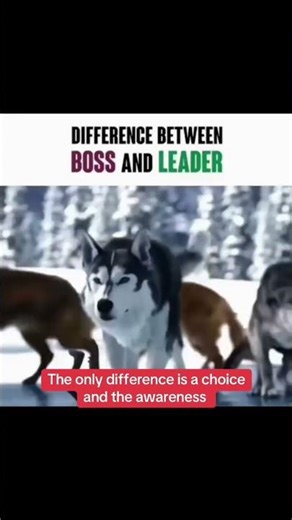 The Frozen Lake of life There is a story of a wolf on a frozen lake