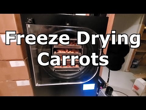 Freeze Drying Carrots