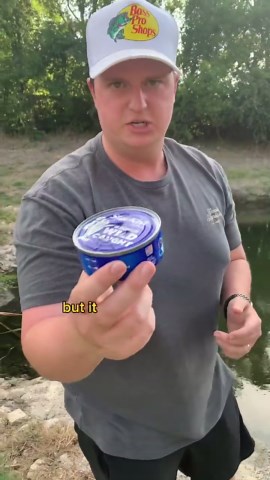 Catching live bait using canned tuna: easy fishing trick