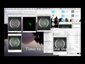Combine multichannel stacks in ImageJ