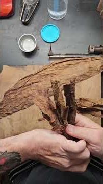 Rolling a Lancero – One of the Hardest Cigars to Make #cigarrolling #handmadecigars