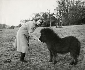 The inimitable Deborah, Duchess of Devonshire: Her life in pictures http://bit.ly/23vMiFY | Sotheby's