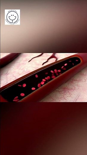 Como se produce la fiebre #fiebre #salud #fisiologia #medicina