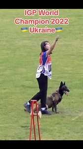 223K views · 2.1K reactions |  We never get tired of watching...