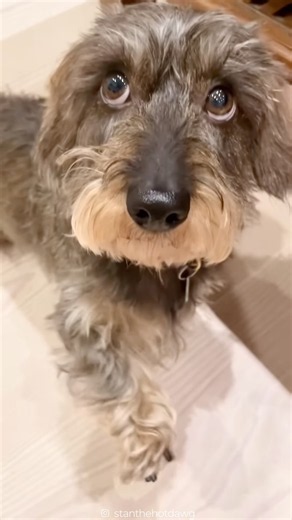 With eyes like that, Stan can have whatever he wants 🥹❤️