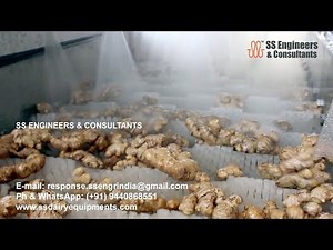 Ginger Washer | ginger cleaning | brush cleaning technology #SSEC #SSENGRINDIA