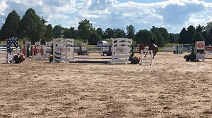 3K views · 101 reactions | Countdown is on! The Ottawa National kicks off next week at Wesley Clover Parks from July 12-16, with the Ottawa International following from July 19-23. Don't miss out on these great two weeks of show jumping competitions! #ottawatournaments #OttawaNational #OttawaInternational #hunterjumper #showjumping #showseason #TheParks #wcparks #Ottawa | Wesley Clover Parks | Facebook
