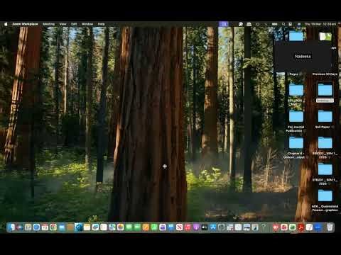 How to Install the RealStatistics Add in on a MacBook