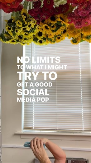 14K views · 211 reactions | Better than laying on the floor… or getting up off the floor 藍浪. Seize the moments y’all!! #gardenersworkshopfarm | The Gardener's Workshop | Facebook