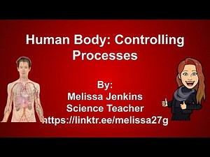 Human Body: Controlling Processes