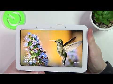 How To Mute & Unmute Microphone on Google Nest 2?