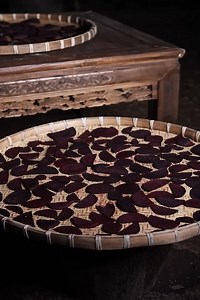 It’s magnolia season, so let’s make some magnolia cakes and try them! | Cdrjnp ecynah tgmyj