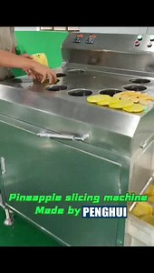 Industrial Fruit Pineapple Slicer Cutting Machine Cassava Lemon Mango Apple Circle Cutter Machine