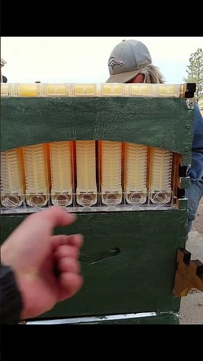 Flow beehives for beginners guide