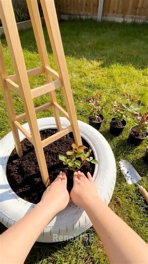 Never throw away a tire again after seeing this 🌹 #Upcycling #DIY #SmartGardening