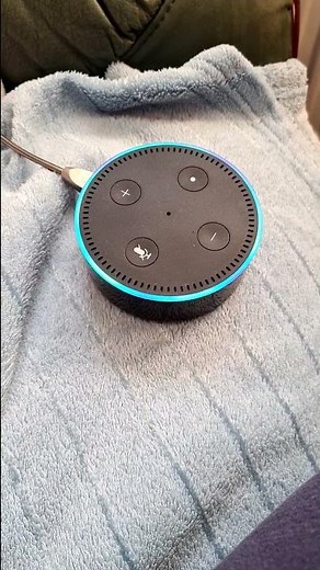 How to Play the Radio on Alexa Echo Dot