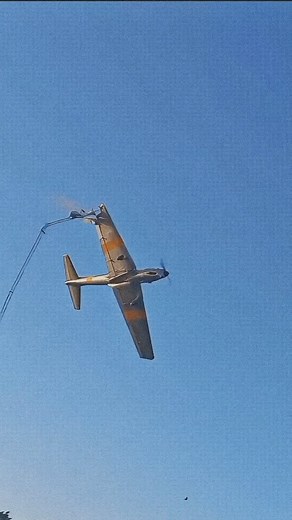 Pro Plane Pilot | DHC-1 Chipmunk Survives Antenna Collision During Airshow Unbelieveable Collision Comes Out Safely A deHavilland DHC-1 Chipmunk,... | Instagram