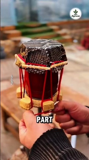 Why Does Snake Skin Sound This Beautiful?