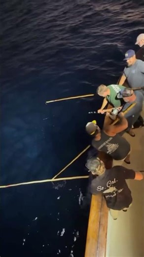 Getting it done @american_angler_longrange #tunafishing #fishworksclothing