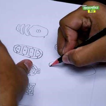 স্ত্রী গ্যামেটোফাইট চিত্র || SSC Biology drawing || বায়োলজির চিত্র || reThink