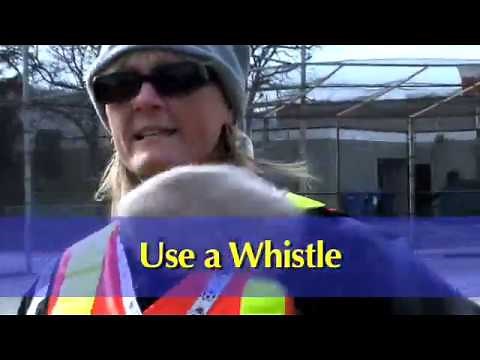 Lunchtime Supervisors in Action – Best Practices