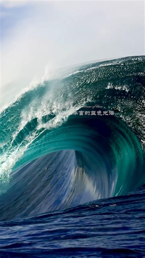 Have you ever seen such a rich spectrum of blue