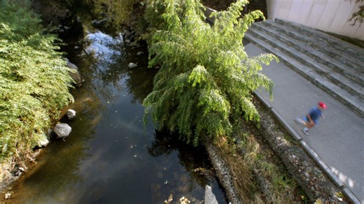 More potential cases tied to Shigella outbreak within encampments along San Jose river