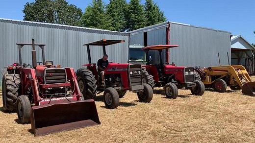 Massey Ferguson 275 Tractor: Features, Specifications, and More