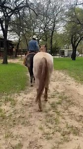 Cole Cameron gave Kool-Aid a walking tour of the Double Horn Ranch today! #WelcomeHome #RanchTour #WildCard | Road to the Horse