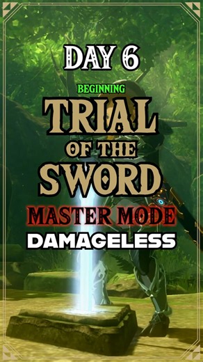Day 6 of beating Master Mode Trial of the Sword DAMAGELESS
