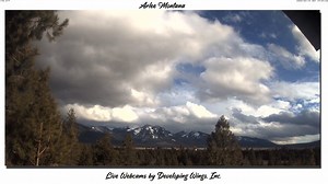 Arlee Montana on Reels