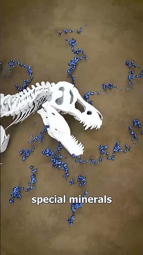 How Fossilization Works 🤔