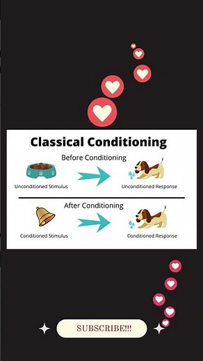 Classical Conditioning – Ivan Pavlov #ClassicalConditioning #IvanPavlov #YouTubeShorts