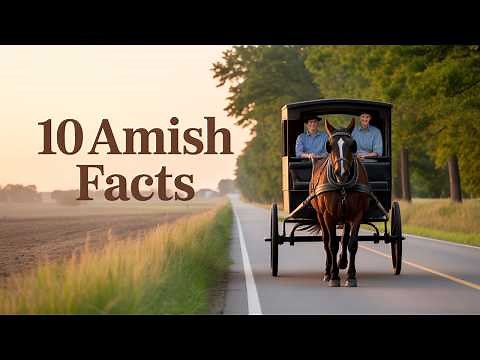 8 Surprising Truths About Amish Community